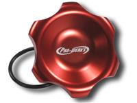 C73-761 | 2 in. RED FILL CAP WITH O-RING
