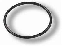 C73-768 | O RING FOR 2" BOLT ON BUNG
